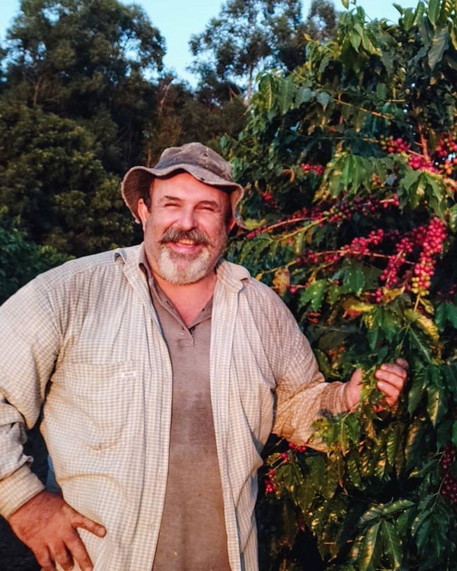 Sr. Darcio Carra no meio do cafezal