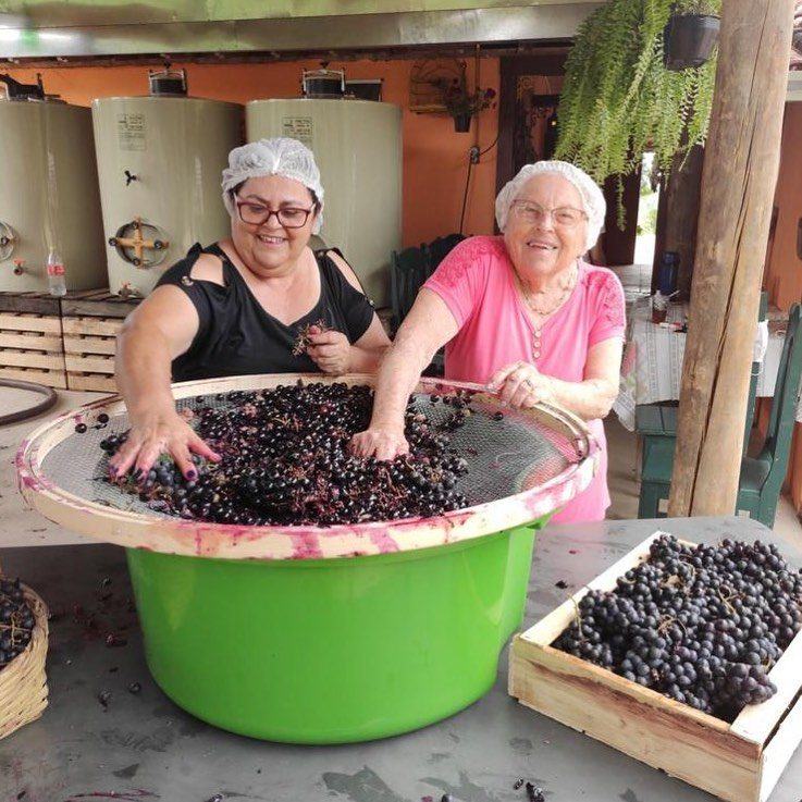 Duas mulheres da família amassando uvas numa bacia durante a vindima