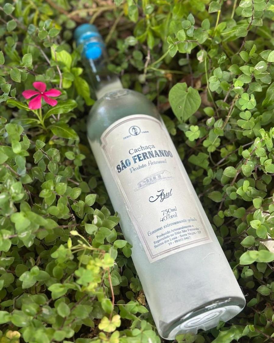 Garrafa de Cachaça Azul São Fernando deitada entre folhagens