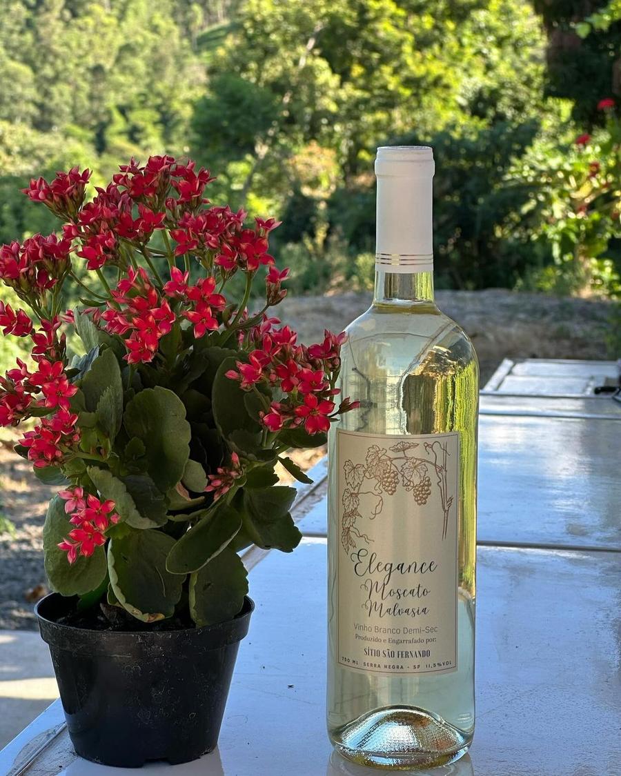 Garrafa de Elegance Moscato Malvasia ao lado de um vaso de flores vermelhas