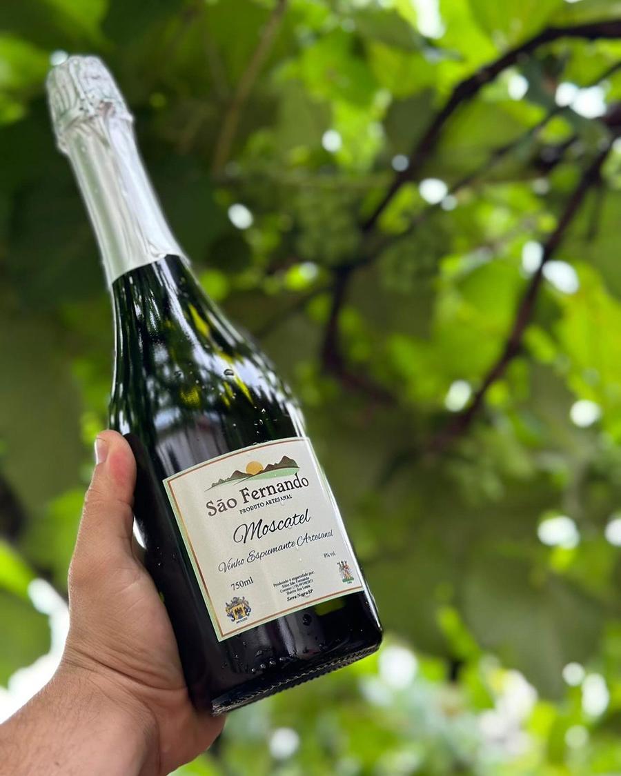 Mão segurando uma garrafa de Espumante Moscatel São Fernando