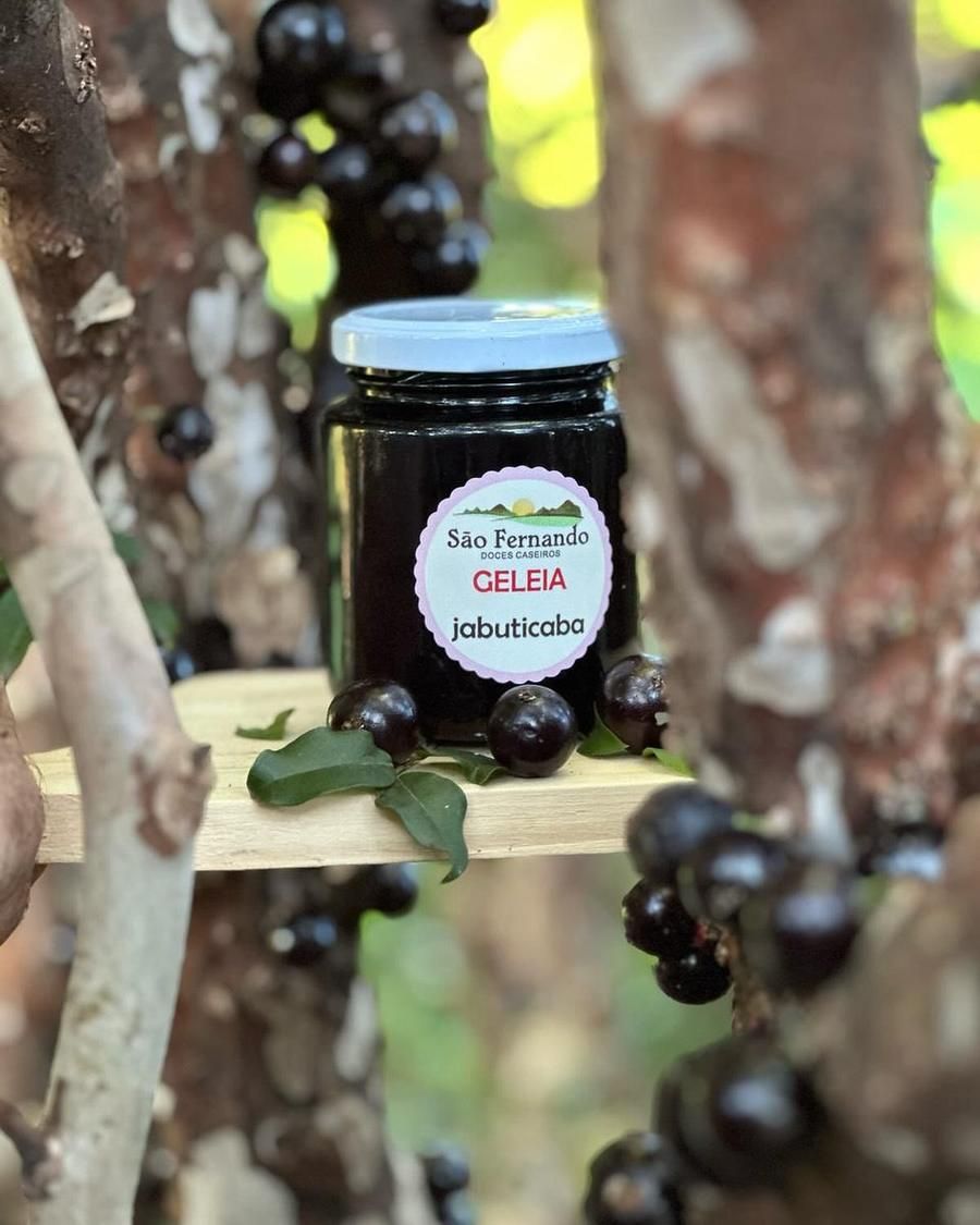 Pote de geleia de jabuticaba encostado num pé de jabuticaba carregado