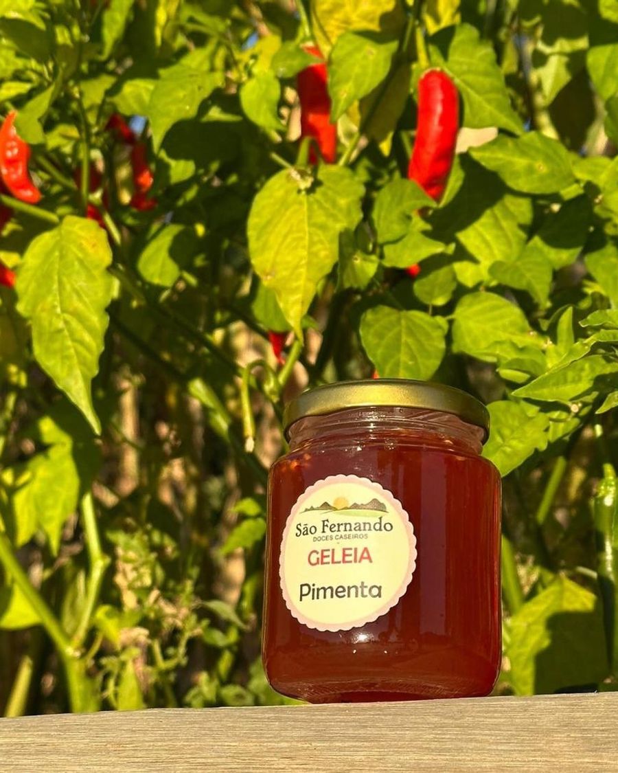 Pote de geleia de pimenta diante de um pé de pimenta