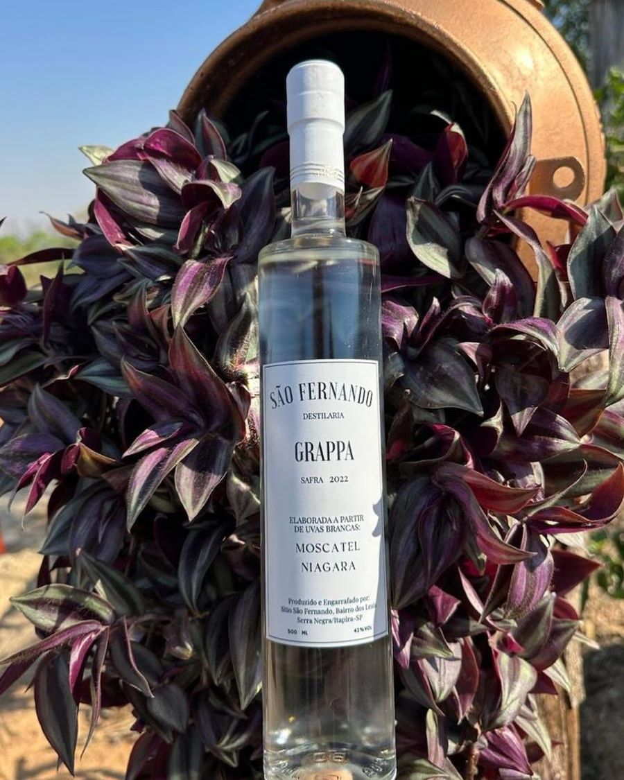 Garrafa de Grappa São Fernando entre folhagens roxas