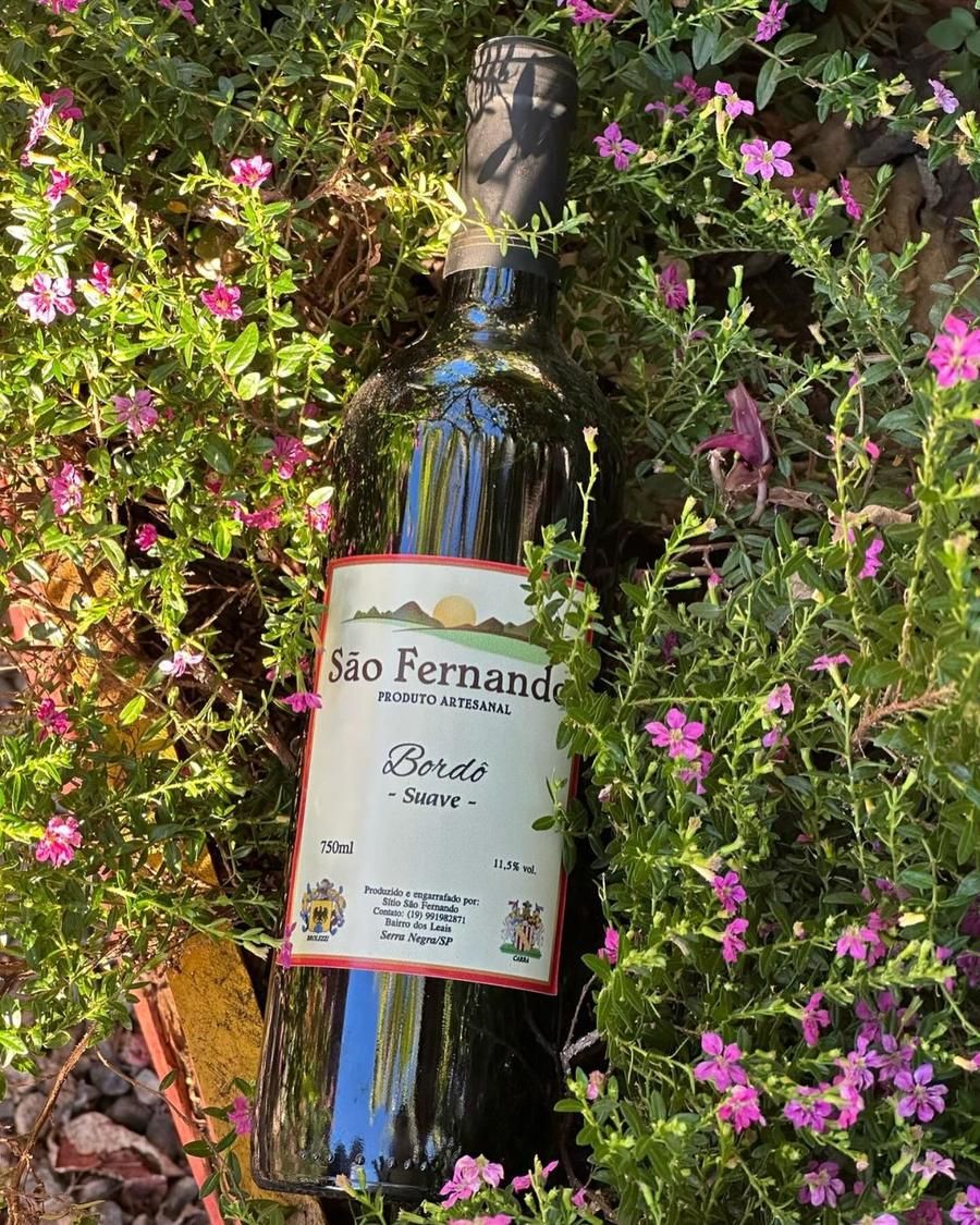 Garrafa de Bordô Suave São Fernando entre flores