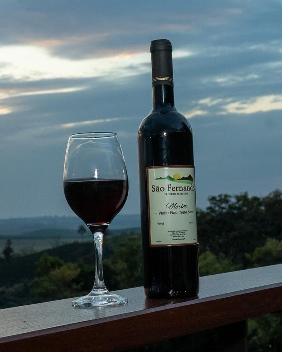 Garrafa e taça de Merlot São Fernando no parapeito, com o vale ao fundo